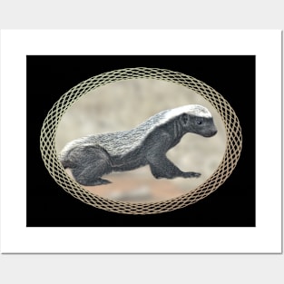 Honey badger - Ratel - Wildlife in Africa Posters and Art